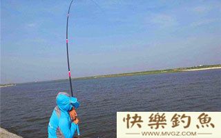 库钓鲢鱼、青鱼、鲟鱼的操控技法详解