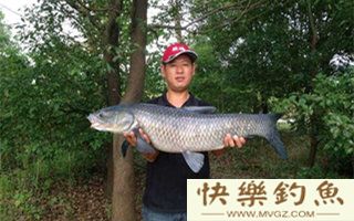 传统钓青鱼的钓具配置及选位打窝技巧