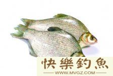 秋季钓鳊鱼的技巧（钓位钓法等）