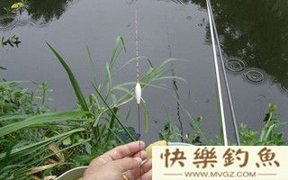 浅谈野钓调漂的体会