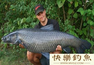 简单实用钓青鱼打窝用饵技巧