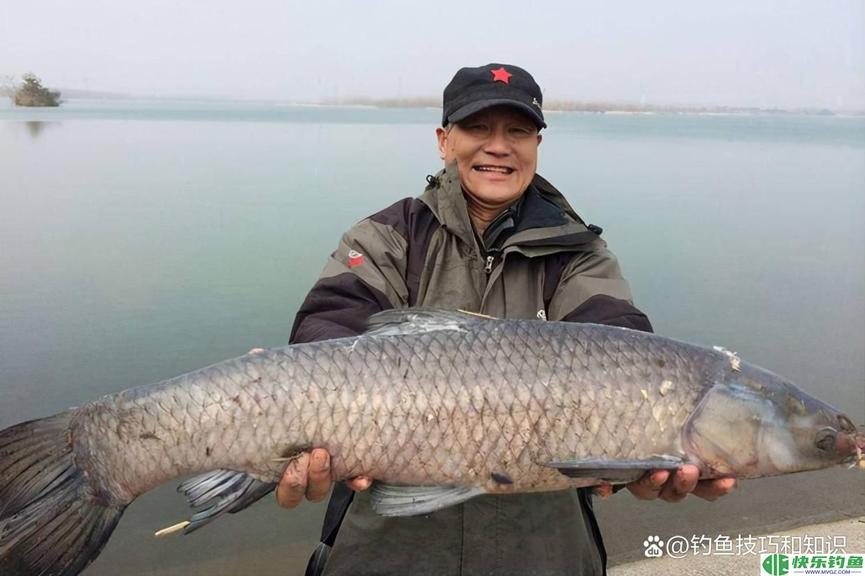 冬天钓青鱼，鱼饵的味型和穿透力更重要，冬