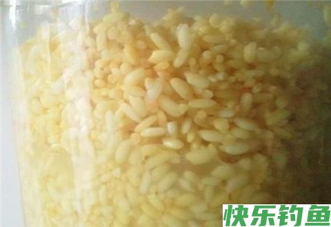 高手分享秘制酒米窝料配方，帮你冬天钓鲫鱼