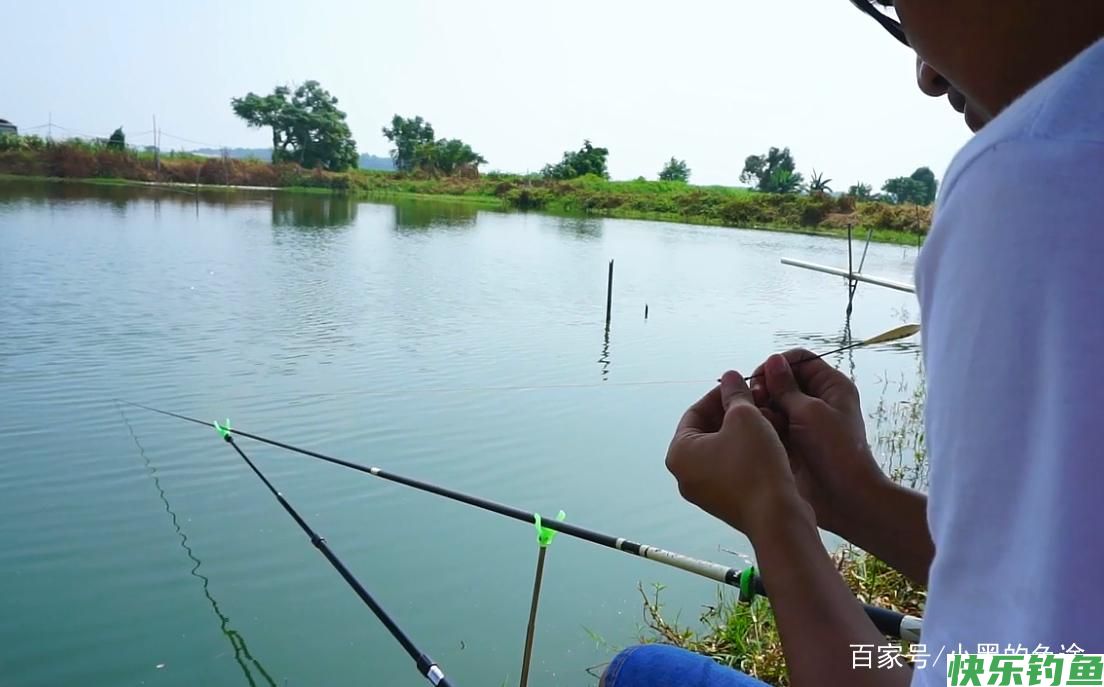 野钓鲫鱼该调几钓几？三种方案应对所有鱼情