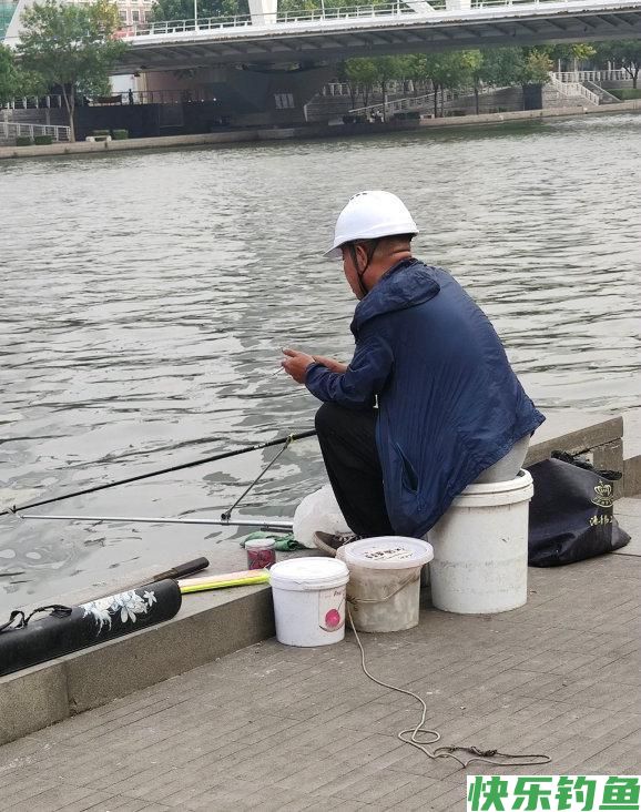 广州男子钓了条大鲫鱼，鱼肉里有许多白点，