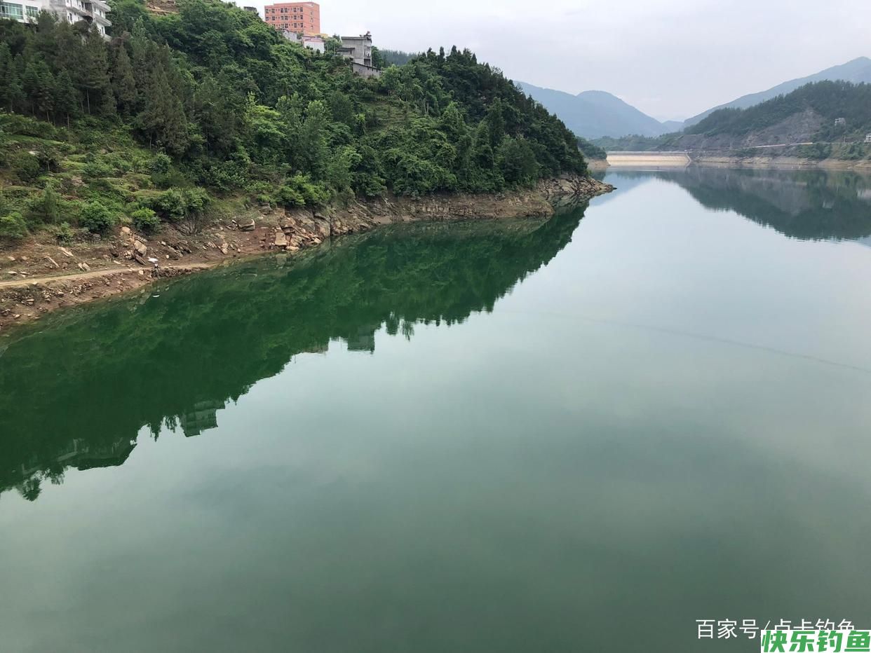 钓鲫鱼用什么饵料好？分清这几点不空军