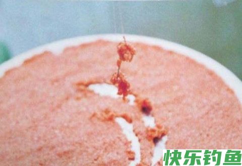 冬季黑坑钓鱼调漂、选择钓点、配制鱼饵要做