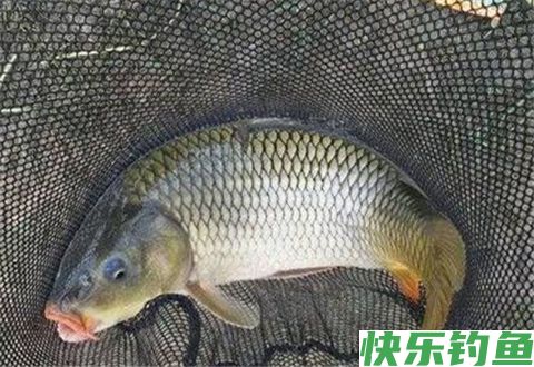 冬钓有十个好处你知道吗，看完以后都不想封