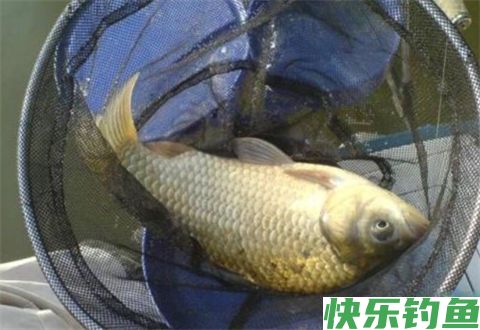 冬天钓具选用，真的需要一些小技巧