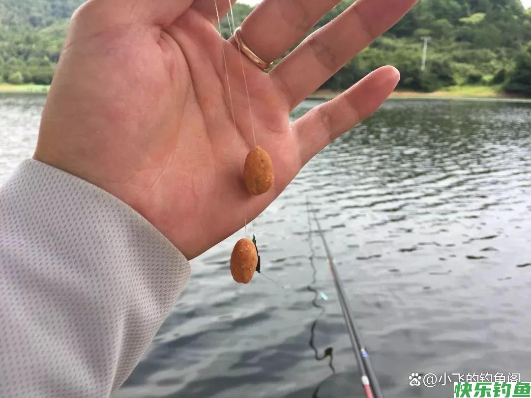 野钓防小杂鱼最管用的几种方法，新手必备技