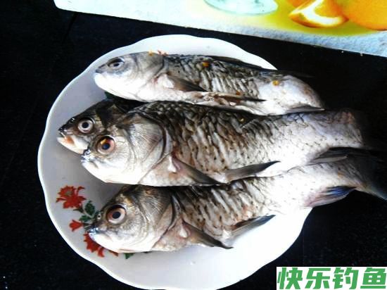夏季野钓鲫鱼的时候使用“霸道麝香米”