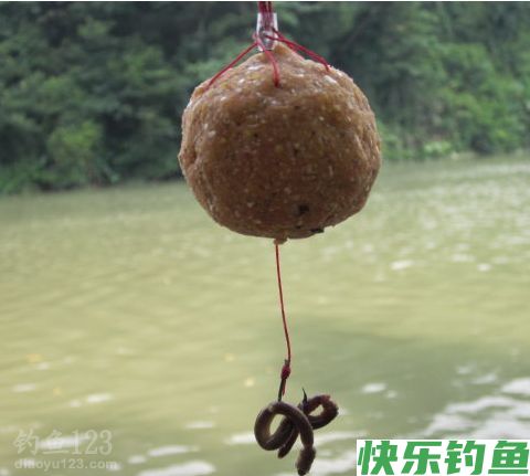 （钓鱼学堂）钓罗非鱼的必杀饵料配方，你知