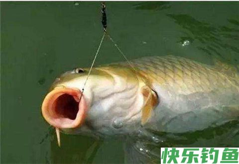 冬天野钓的几大重要影响因素
