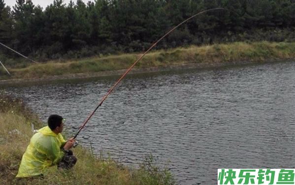 野钓鲤鱼没有秘诀，掌握这几个技巧，新手也