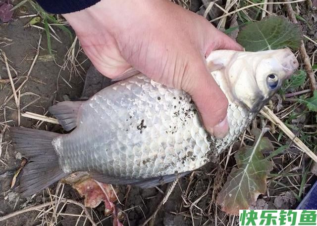 野钓怎么选钓位？这3个位置才是“万能钓位