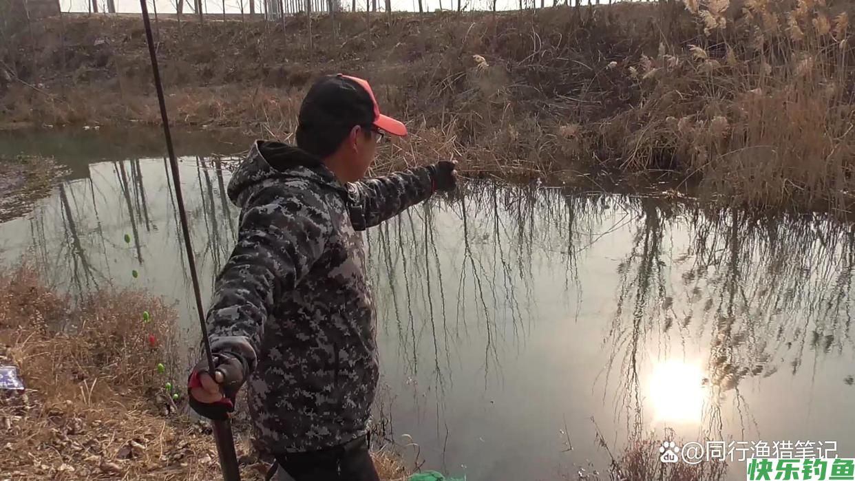 决战黑坑或者野钓称王绝招，点上它，诱鱼效
