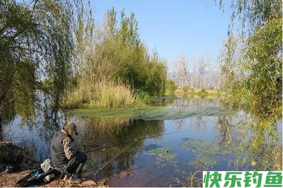 夏季野钓，要抢这几处钓点，下钩就有鱼，连