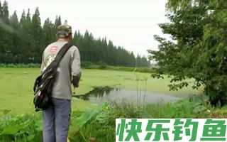 小溪河流等钓点初冬夜钓鲶鱼的技巧