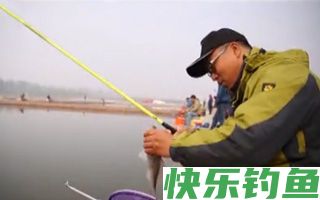 钓鲶鱼的几种荤饵详细介绍