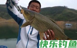 钓鲶鱼如何选择钓位的一些技巧