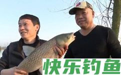 端午中秋时节钓鲶鱼的一些技巧分享