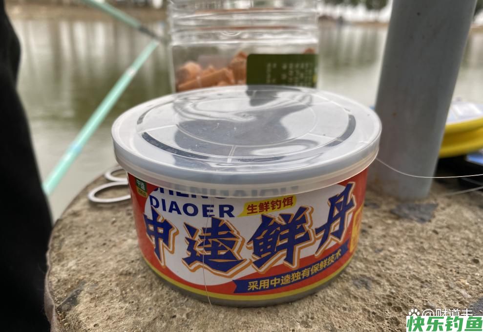 中逵鲜丹实战路滑，钓获鳊鱼、鲈鱼！