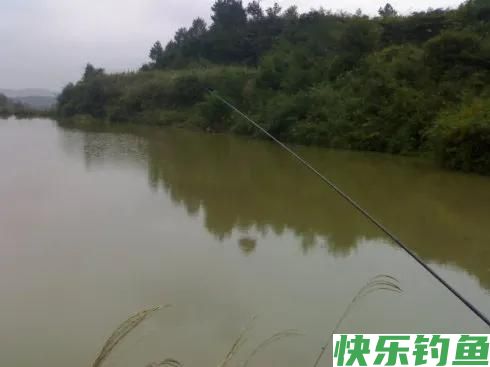 钓鳊鱼、草鱼，翘嘴，红尾翘，钓浅浮还是钓深浮？以什么为依据