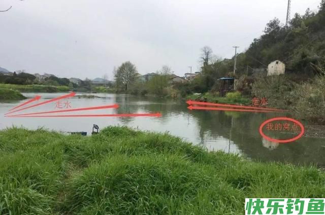 鳊鱼难钓？试试这五大招，招招有鱼来！新手