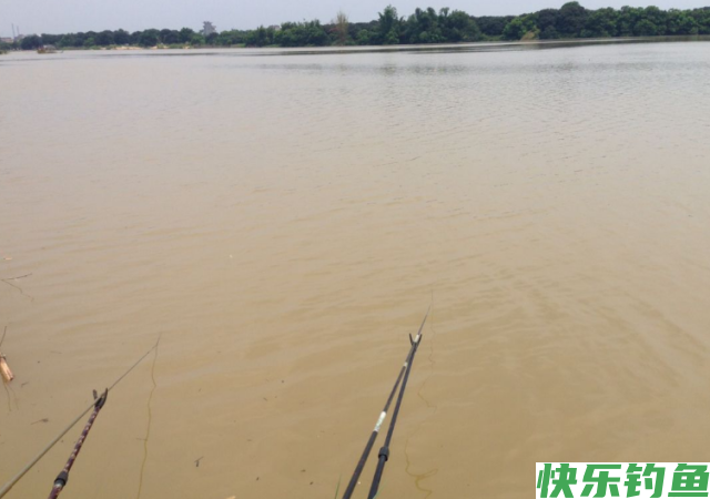 新手钓鳊鱼时，想要满载而归，就看老钓友的