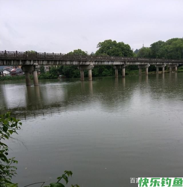 雨中江河钓鳊鱼的一些方法