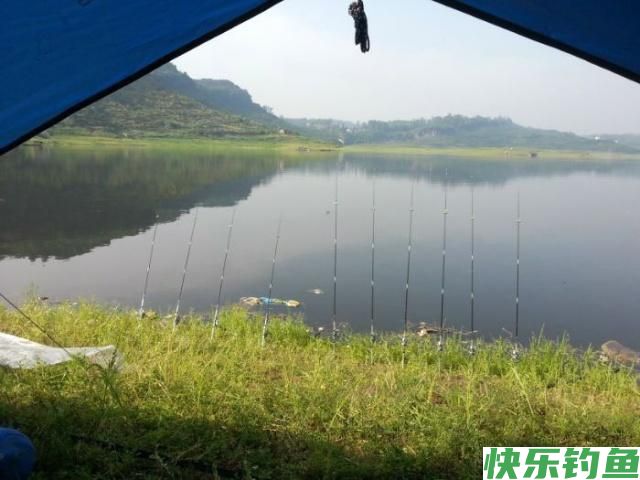 这里的鳊鱼特别好钓，钓上一条就会引来一群