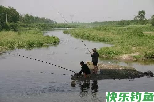 「钓鱼妙法」怎么钓鳊鱼