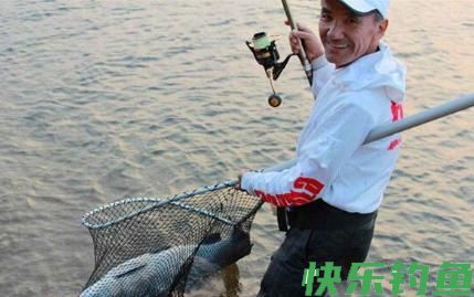 黑坑能钓青鱼吗，如何钓滑口青鱼