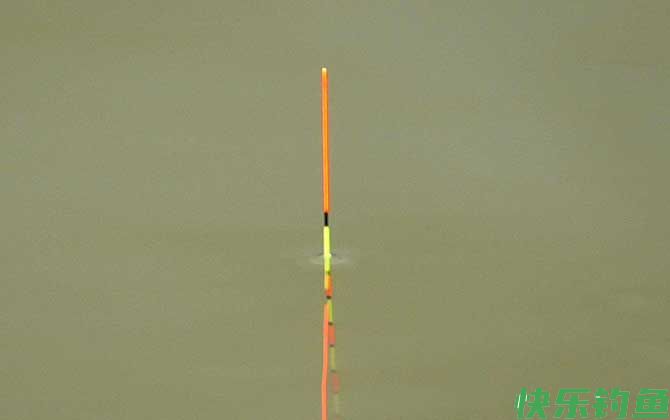 鲤鱼吃口十种漂相及提竿技巧