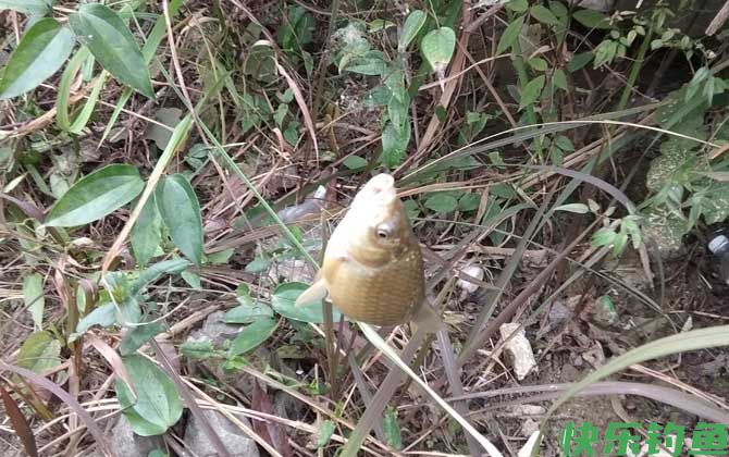 春季什么时候开始钓鱼?