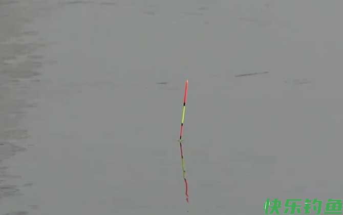 夏季钓鱼钓底还是钓浮？