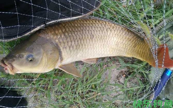 大雨过后钓鱼好钓吗?