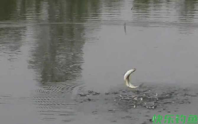 三月份刮什么风好钓鱼?