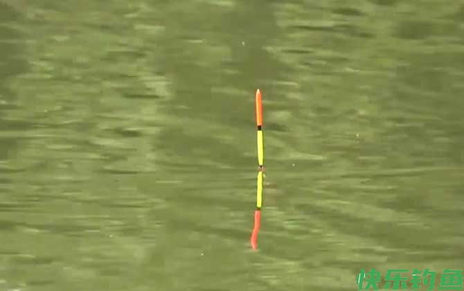 夏季钓鱼