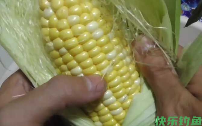 嫩玉米