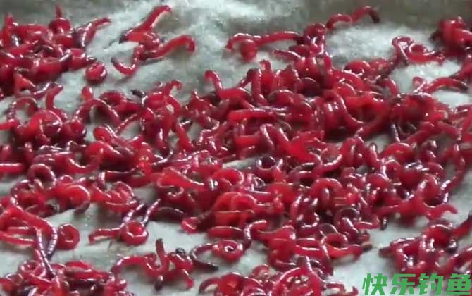 自然饵料