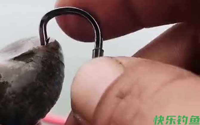 田螺钓鱼