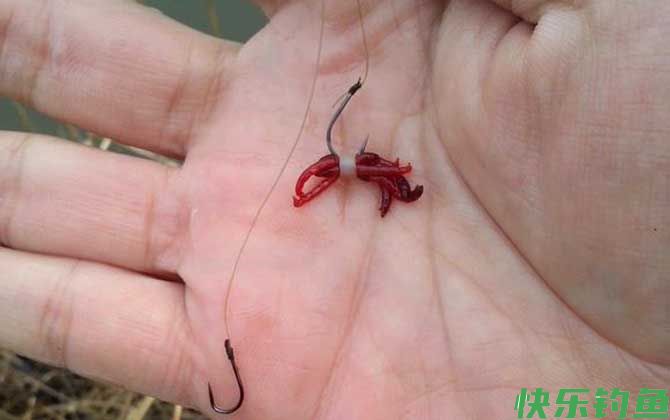 红虫钓鱼