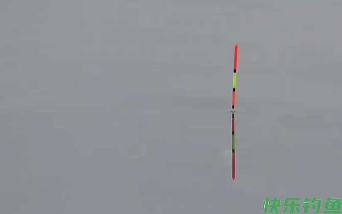 秋季钓鱼钓远还是钓近？