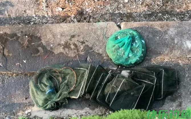 虾笼一般放多久才收?