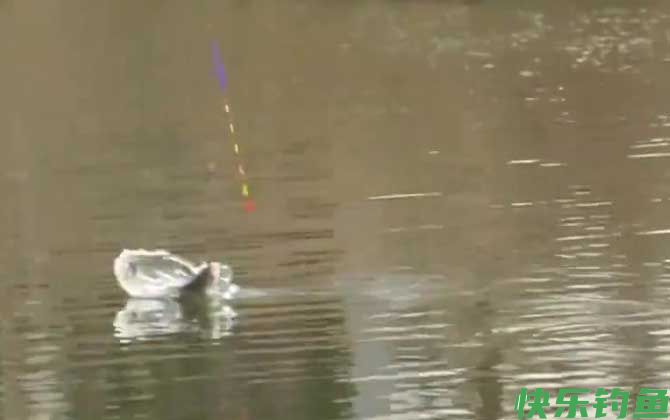 十二月钓鱼技巧和方法