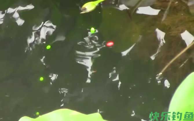 秋季钓鱼