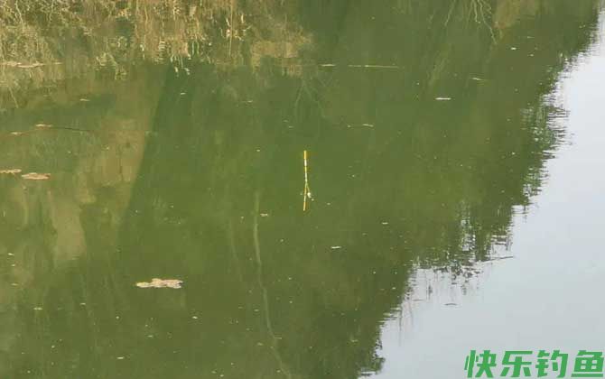 水库钓鱼