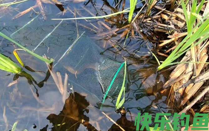 地笼抓河虾放深水好还是浅水?