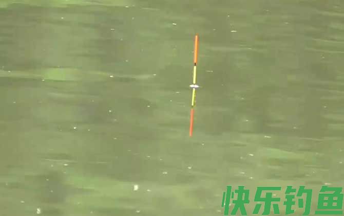 春季钓鱼